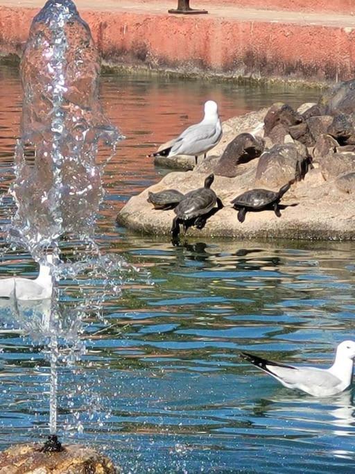 Apartment Holidays In Torreveja, *